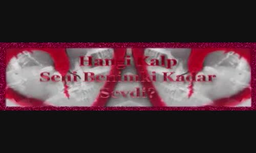 Zerrin Özer - Seni Hala Seviyorum