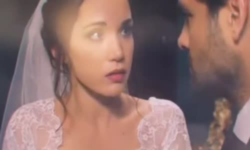 Mimoza Çiçeği