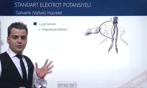 EBA KİMYA LİSE - ELEKTROKİMYASAL PİLLER -  ELEKTORTLAR VE ELEKTROKİMYASAL PİLLER - GALVANİK (VOLTAİK) HÜCRELER