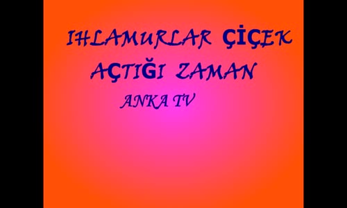 Ihlamurlar Çiçek Açtığı Zaman-Bedirhan Gökçe