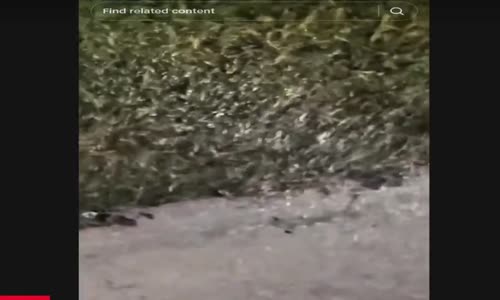 Creepy Videos I Can Never Unsee