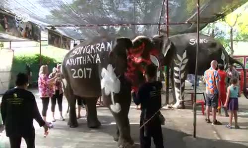 Tayland Yeni Yılı Fillerle Kutladı