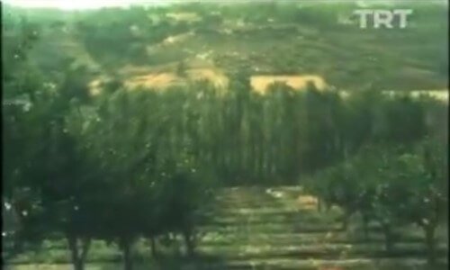 Bolu Seben Ve Kıbrıscık İzle