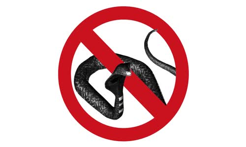 17 Ülkeden 18 Şaşırtıcı Gerçek - Oha Diyorum