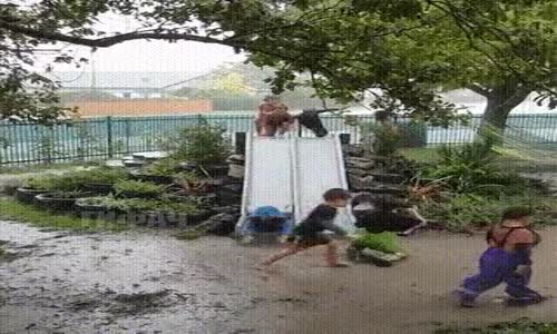 Çocukların Yağmur Altında Kaykaydan Çamurla Haşir Neşir Olması