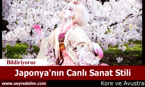 Japonya'nın Canlı Sanat Stili