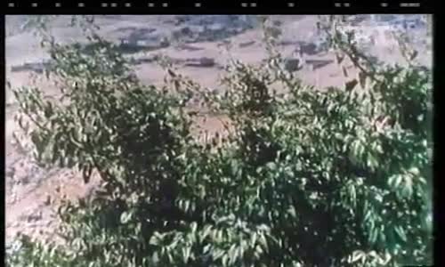 Mardin'de Tarımsal Gelişim İzle