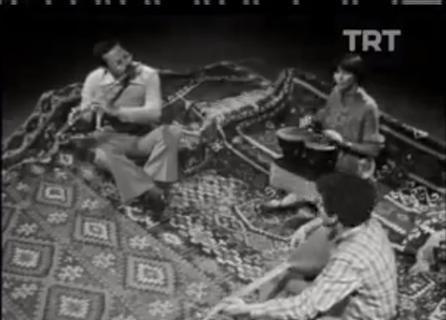 Yeni Türkü-Sardunyaya Ağıt