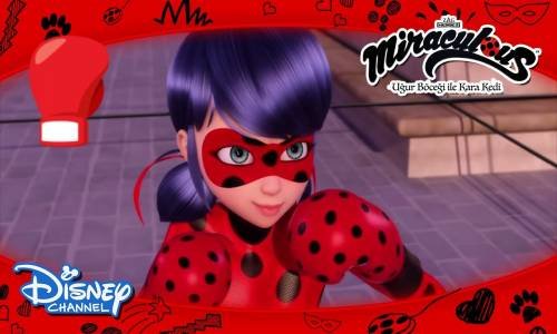 Uğur Böceği Boks Maçı Yapıyor