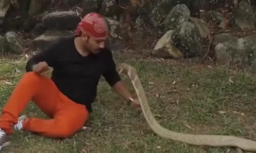 Yılanla Moditasyon Uygulanırsa