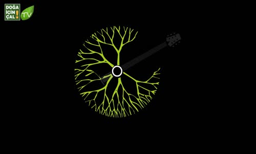 Cem Yılmaz ve Ümit Erdim'li Doğa İçin Çal 8: Hayde