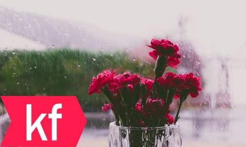 Elif Çağlar - Oyuncak