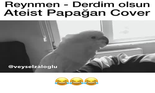 Reynmen Derdim Olsun - Ateist Papağan Cover