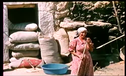 Zülfü İle Zülfüye