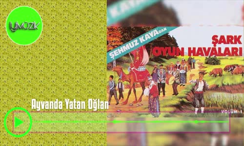 Şehmuz Kaya - Ayvanda Yatan Oğlan
