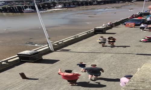 Çiftin Yiyeceğine Göz Koyan Martılar