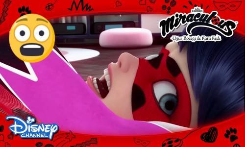 Uğur Böceği'nin Mucizesi Çalınıyor mu?