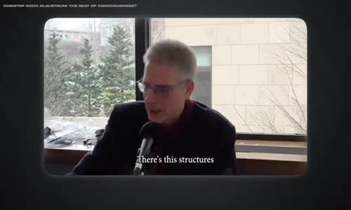 Leading Neuroscientist Shocks World by Proving Reality Emerges from a Hidden Source