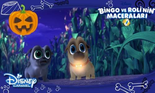 Bingo ve Roli'nin Maceraları - Bingo Tasmasını Kaybediyor