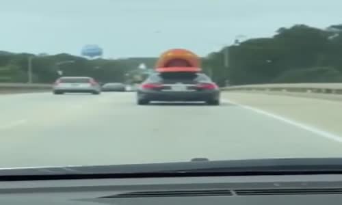 Dile Gelen Şişme Bot 