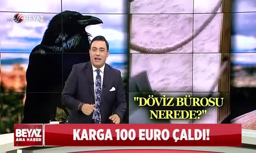 KARGA 100 EURO ÇALDI!