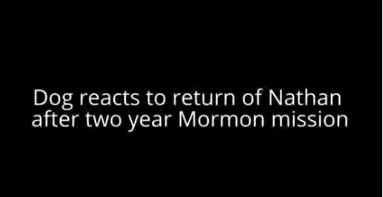 Köpek 2 Yıldır Görmedigi Sahibini Bakın Nasıl Karşılıyor