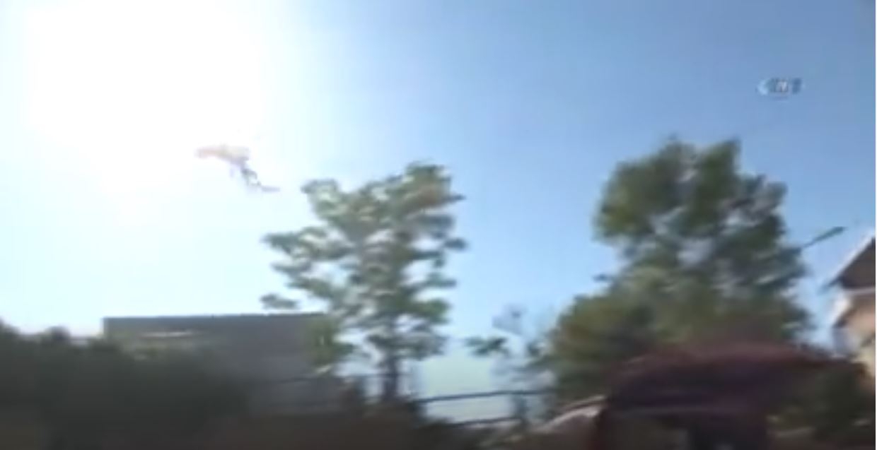 Sıcaktan Bunalan Papağanlara Dondurmalı Serinlik