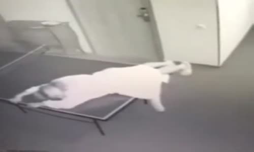 Masa Tenisi Masasında Tost Olan Kızlar