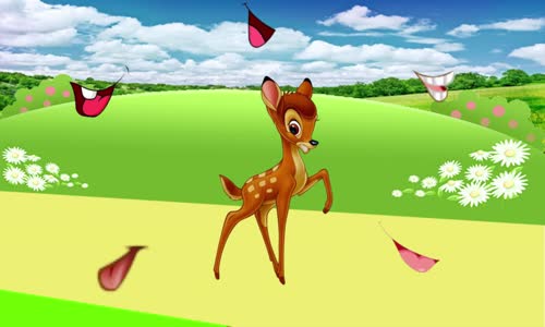 Hayvanlar Alemi - Vahşi Hayvanların Sesleri Ve İsimleri - Part 1