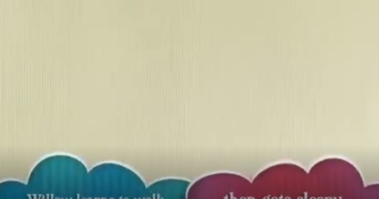 İlk Kez Yürümeyi Ögrenen Köpek