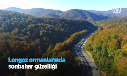 Longozun Sonbahardaki Güzelliği Havadan Görüntülendi
