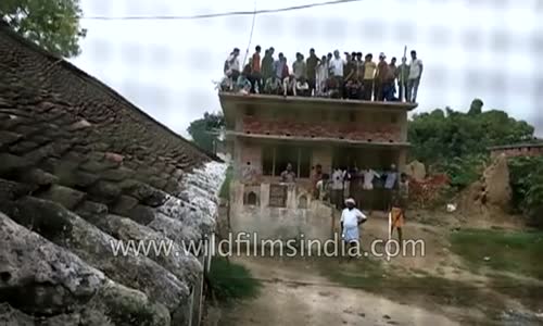 Leopardan Köşe Bucak Kaçan Hintliler