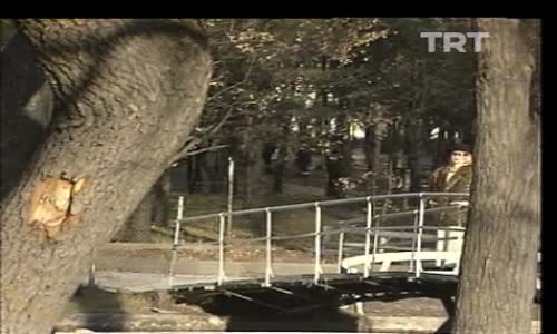 Gökben-Hatıram Olsun izle