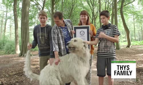 Dünyanın En Uzun Kuyruğuna Sahip Köpeği Keon ile Tanışın!