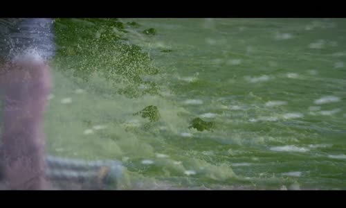 Salih Yılmaz - Kumar Yaprağı