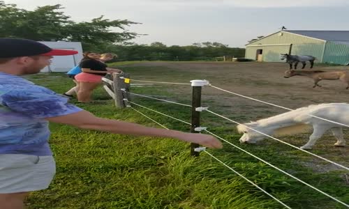 Meraklı Gencin Elektrikli Tel İle İmtihanı