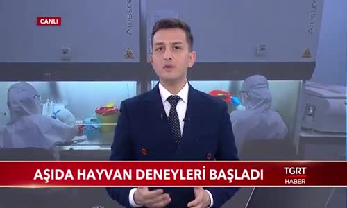 Aşıda Hayvan Deneyleri Başladı