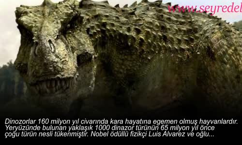 Nesli Devam Etseydi Sokaga Çıkamazdınız