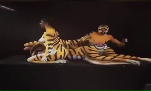 Sanatın Görsel Hali