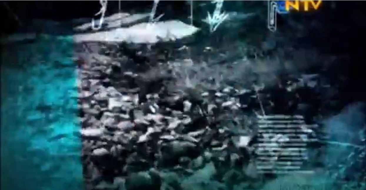 Doğada Tek Başına - Serdar KILIÇ - Dağ Bisikleti