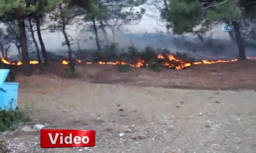 Arazöz Şoförü İzinli Olduğu Gün Gidip Ormanı Yakmış 