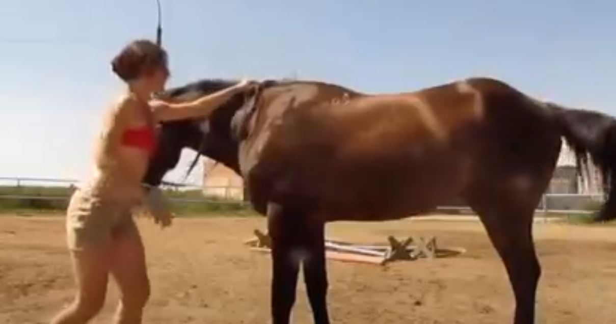 Ata Binmeye Çalışan Kız