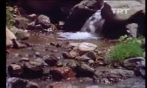 Erzurum'un Akarsuları