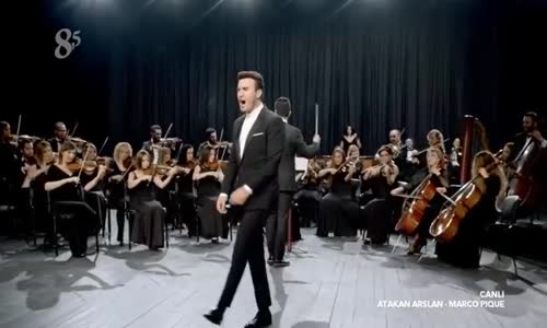 Avatar Atakan Arslan VS Marco Pique Altin Kemer Boks Karsilasmasi