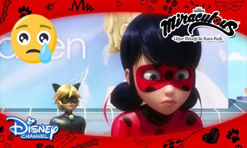 Uğur Böceği ile Kara Kedi - Kara Kedi'nin Kalbi Kırılıyor