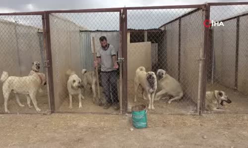 Aile bağları çeneleri kadar güçlü 