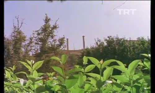 Şanlıurfa Balıklıgöl İzle