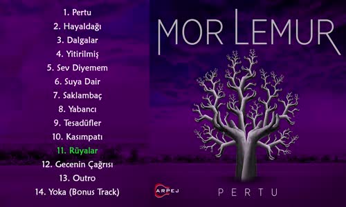 Mor Lemur - Rüyalar