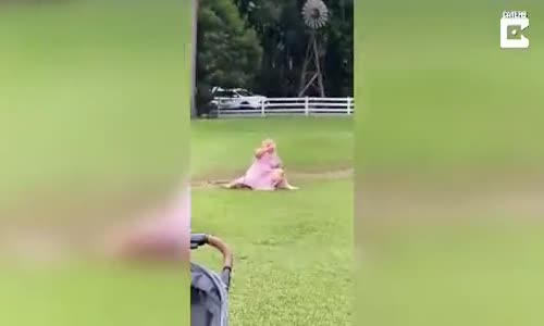 Evlenen Çiftin Fotoğraf Çekimine Yardım Ederken Düşen Nedime 