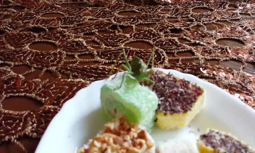 best (animal) video ever - video by LEON KETFO ACAT